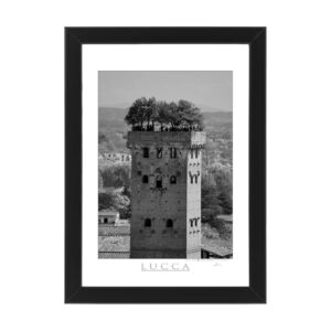 Photo printed on Paper - Fine Art - Canvas - Lucca Poster Torre Guinigi 001