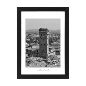 Photo printed on Paper - Fine Art - Canvas - Lucca Poster Torre Guinigi 004