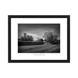 Photo printed on Paper - Fine Art - Canvas - Lucca Poster Mura 006