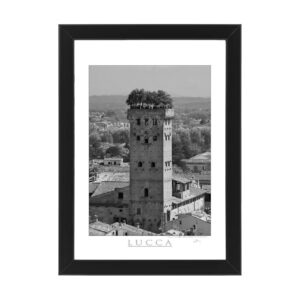 Photo printed on Paper - Fine Art - Canvas - Lucca Poster Torre Guinigi 002