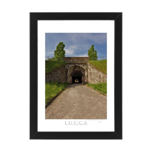 Photo printed on Paper - Fine Art - Canvas - Lucca Poster Mura 004